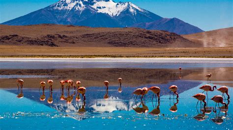 cheap flights to bolivia